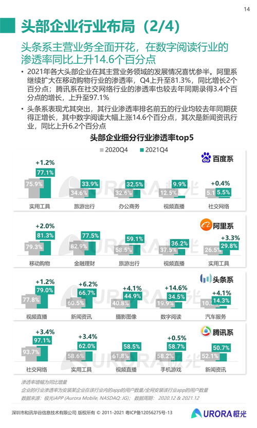 2021年第四季度移动互联网行业数据研究报告 互联网数据服务深度分析