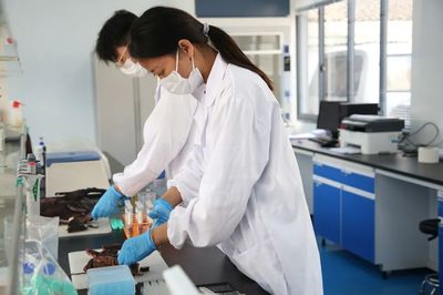 绍兴三项目荣登首批‘浙里食安’示范市县名单，互联网数据服务赋能食品安全监管